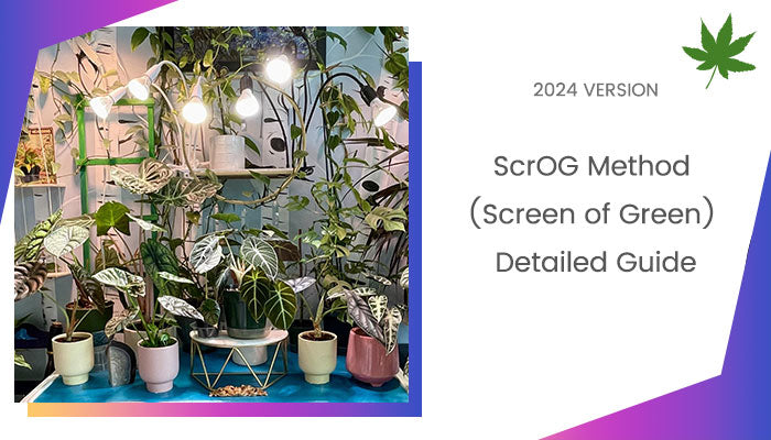 ScrOG Method