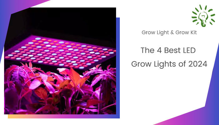 Best LED Grow Lights