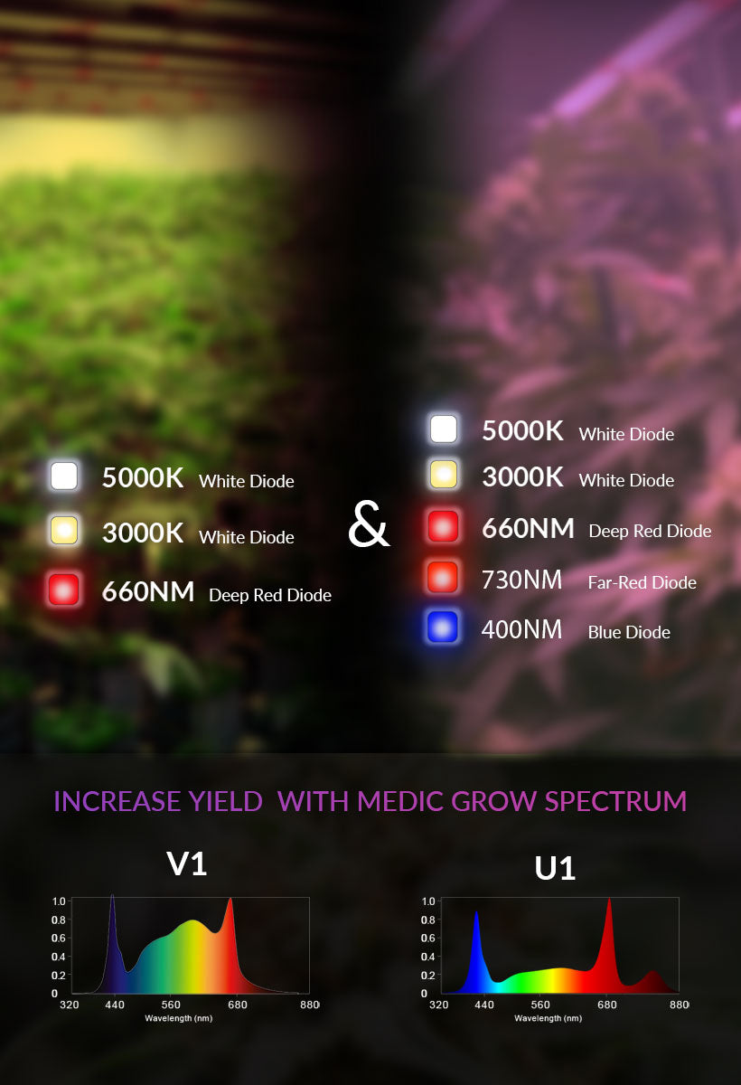 led grow lampe