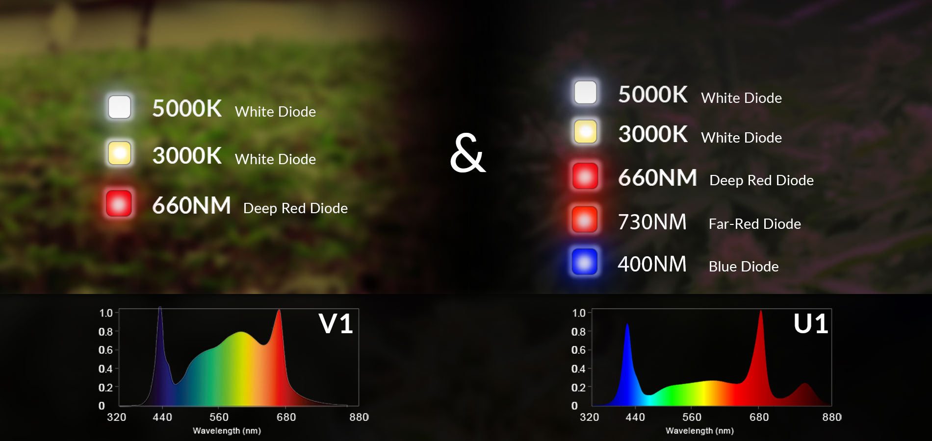 led grow lampe