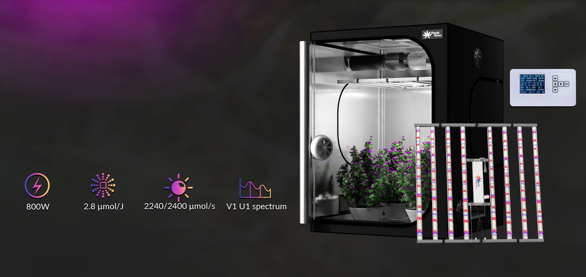 growbox