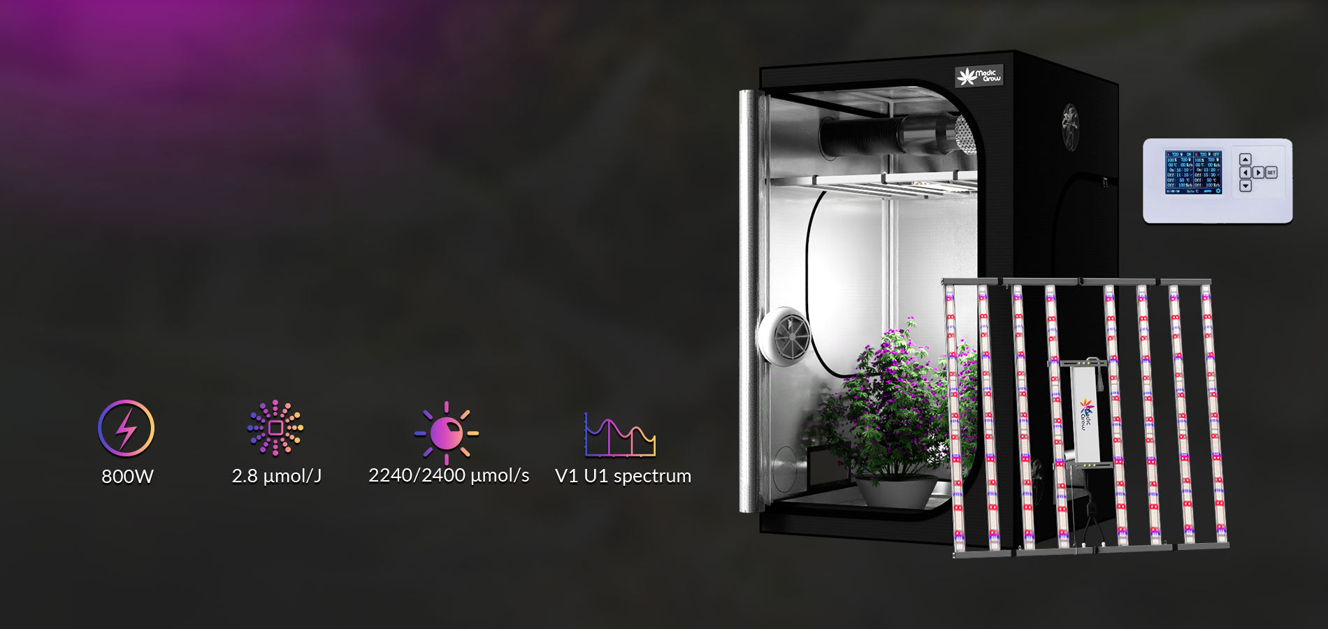 growbox