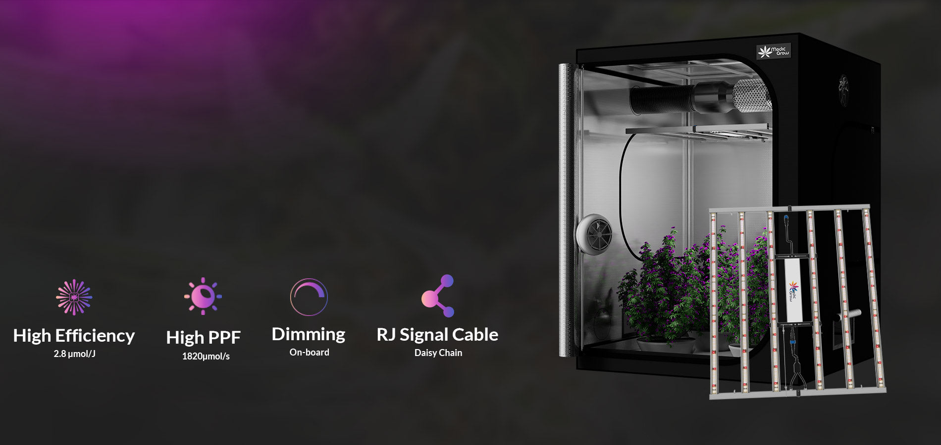 growbox