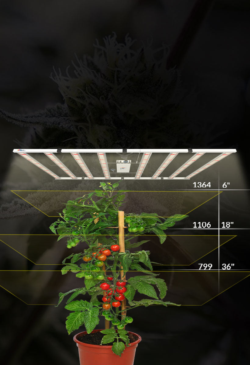 led grow lampe