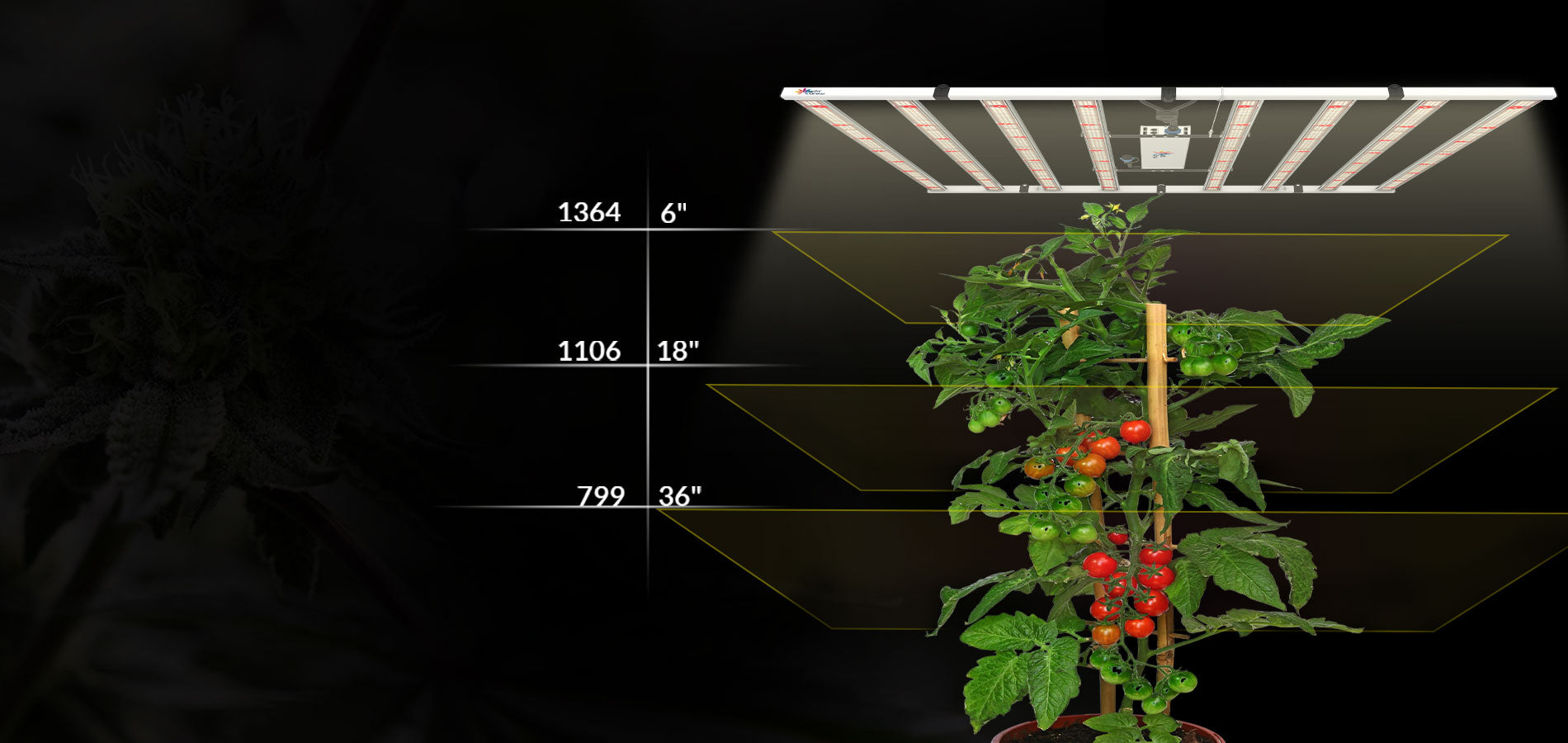 led grow lampe