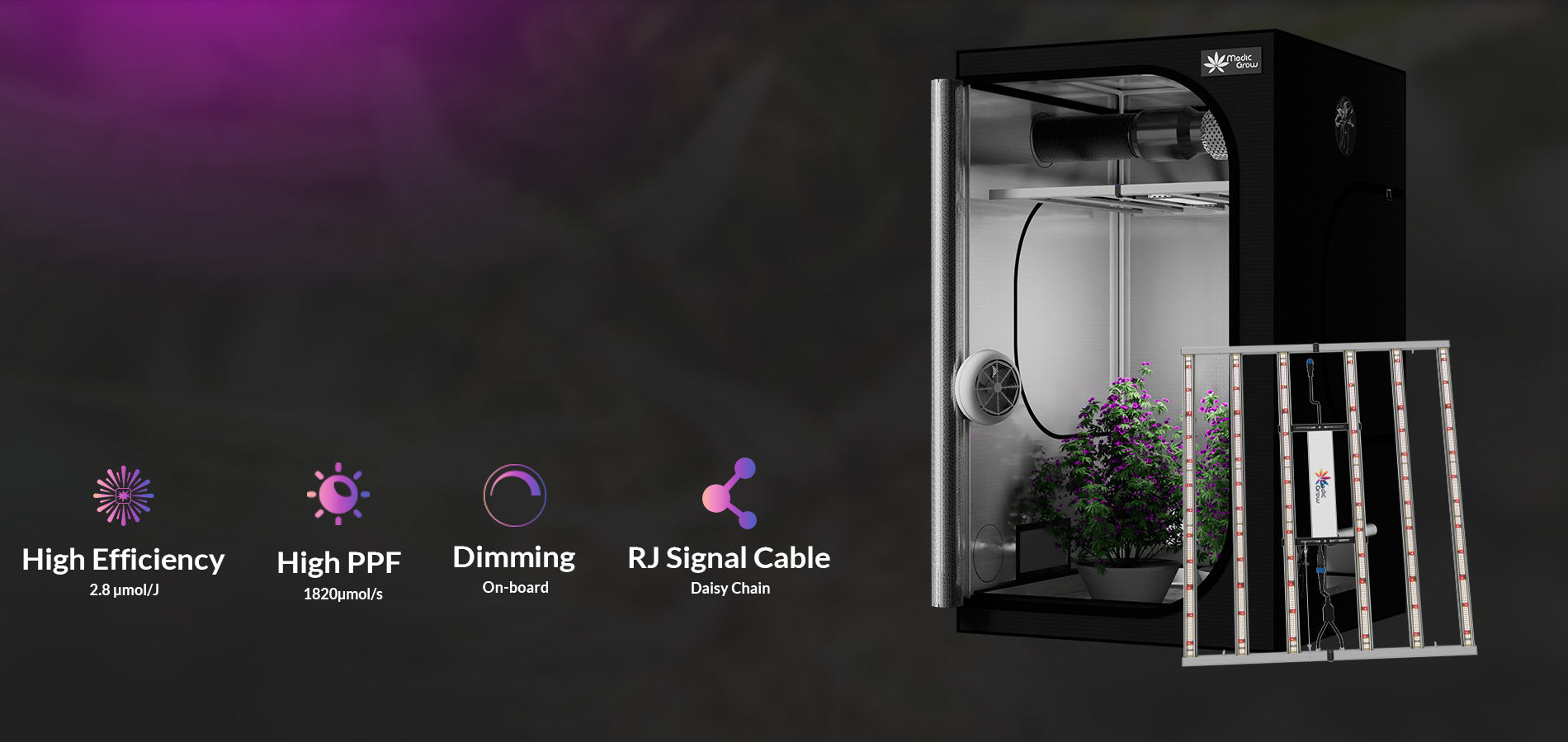 growbox