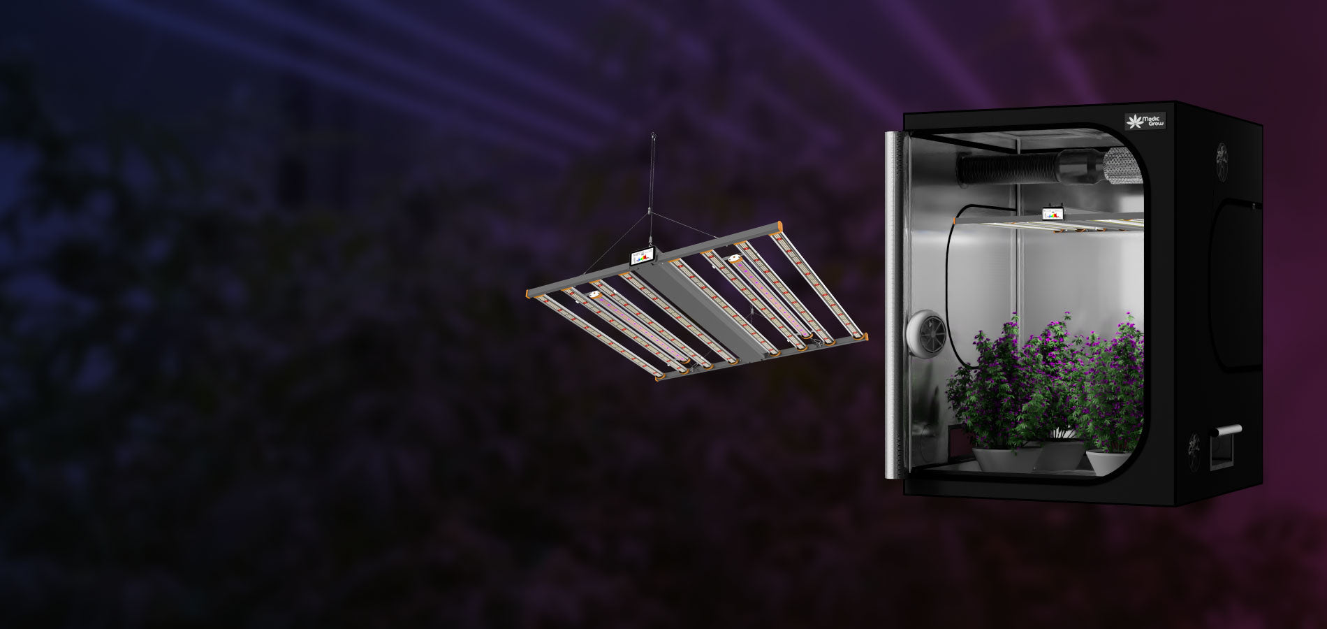 growbox