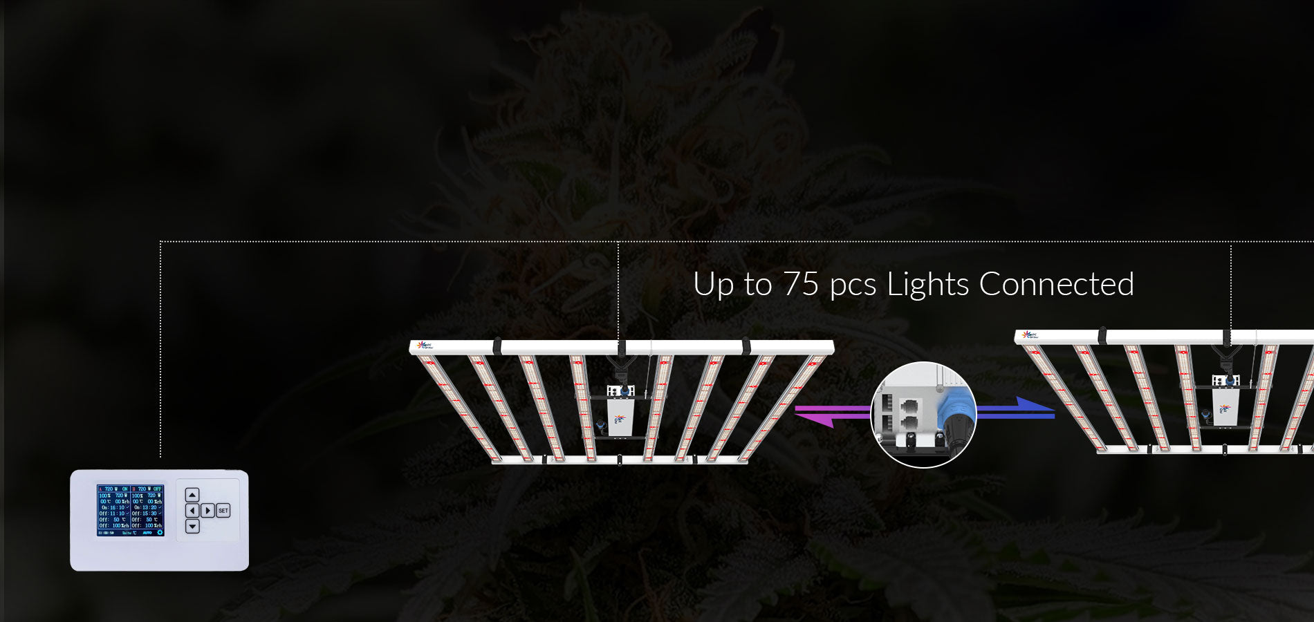 led grow lampe