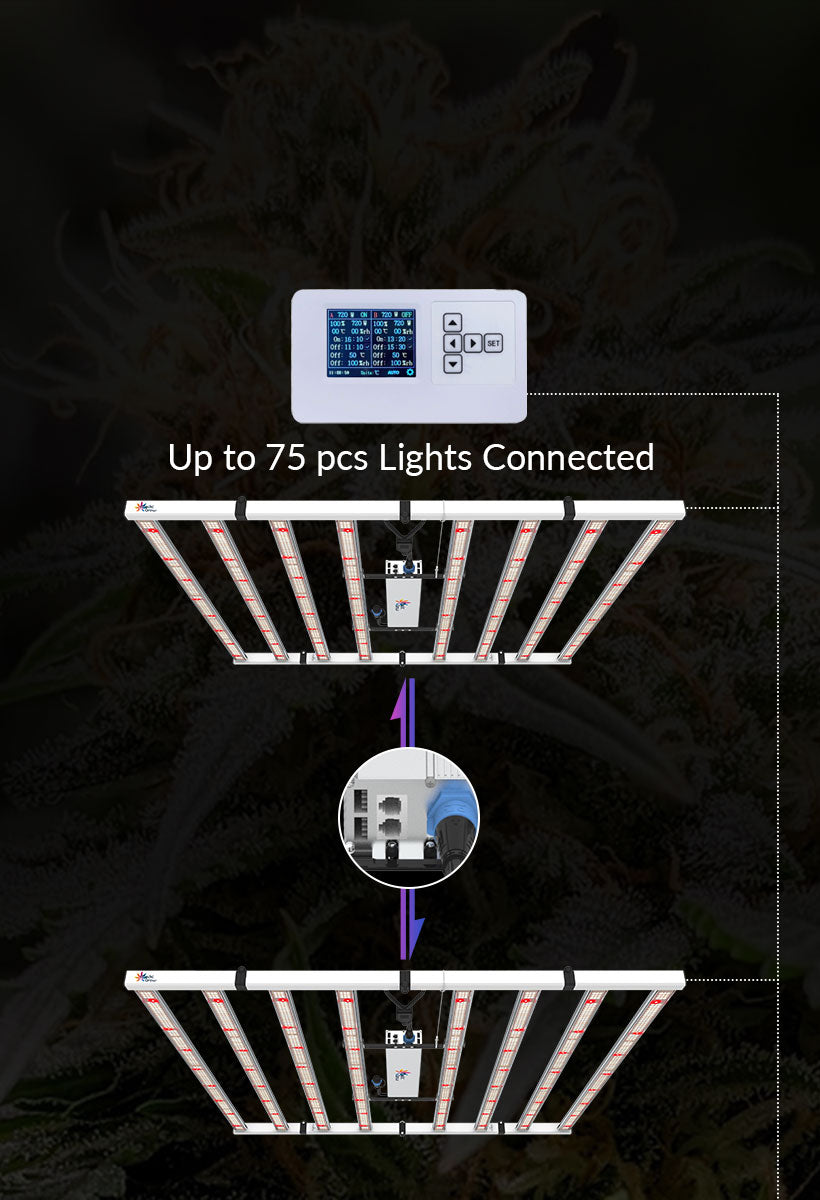 led grow lampe