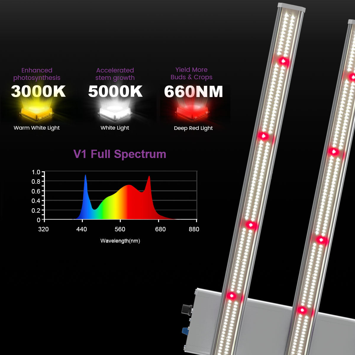 Medic Grow Ez-8 Smart Dimmable Full Spectrum 1000 Watt LED Grow Light for 5X5 Planting