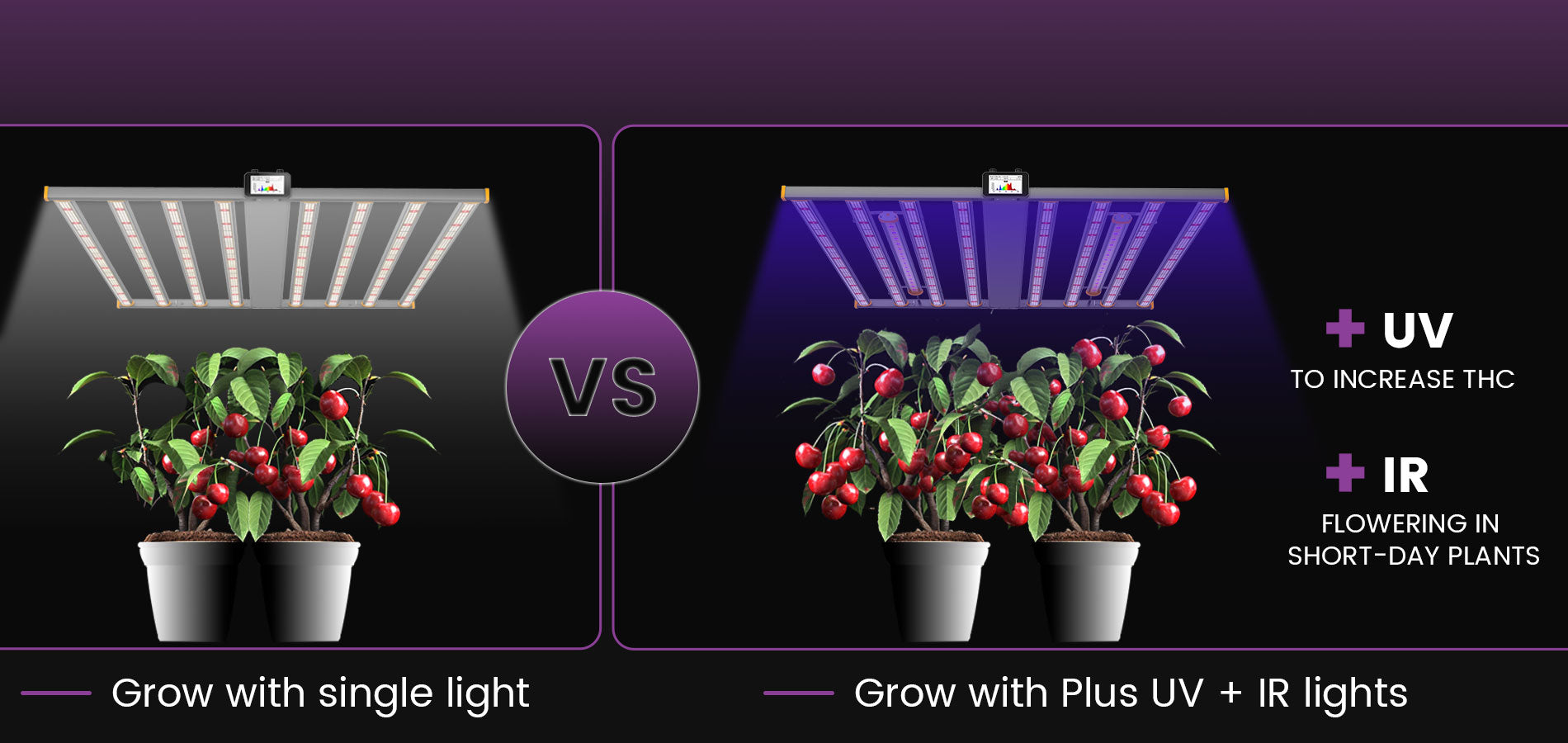 Spectrum X Led Grow Lampe