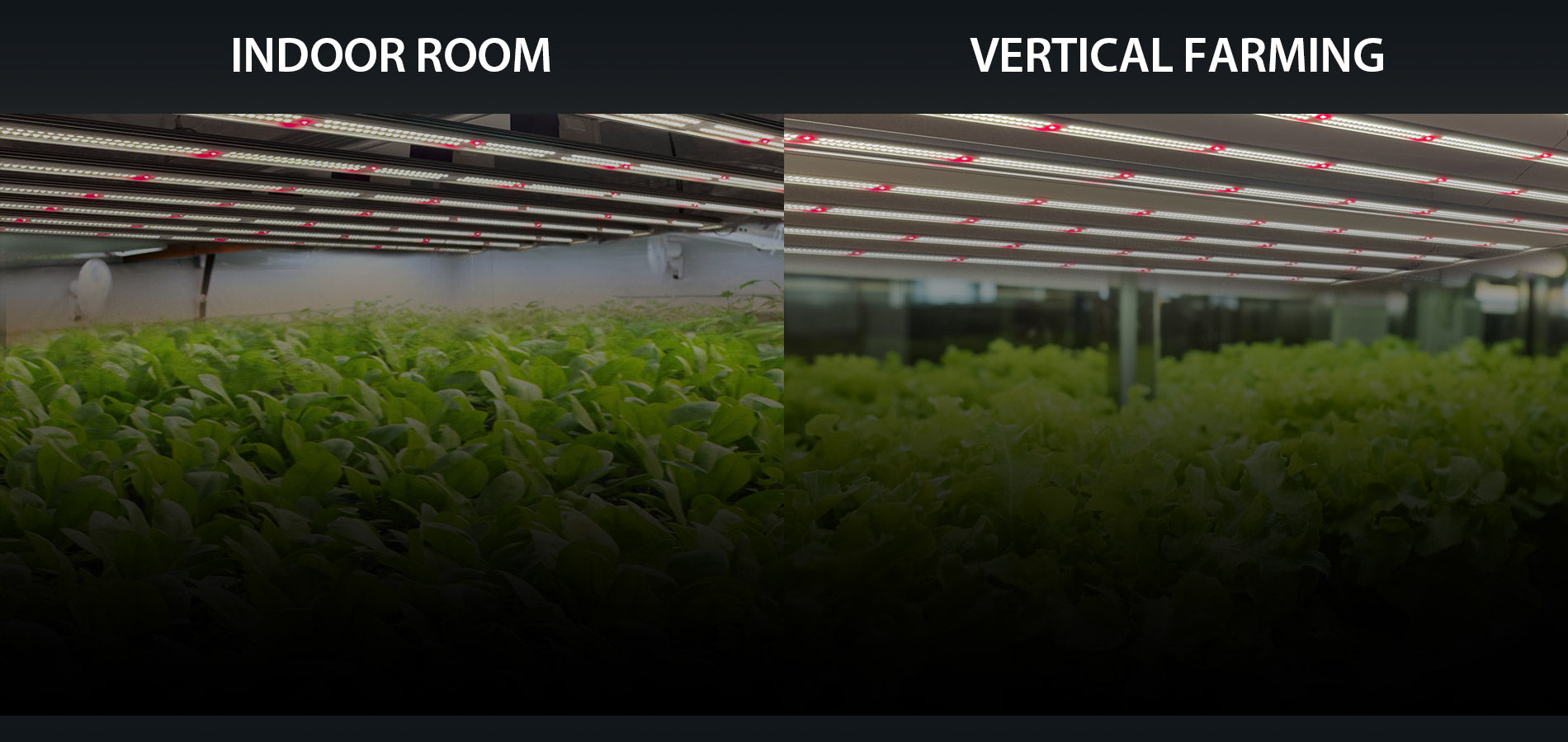 led grow lampe