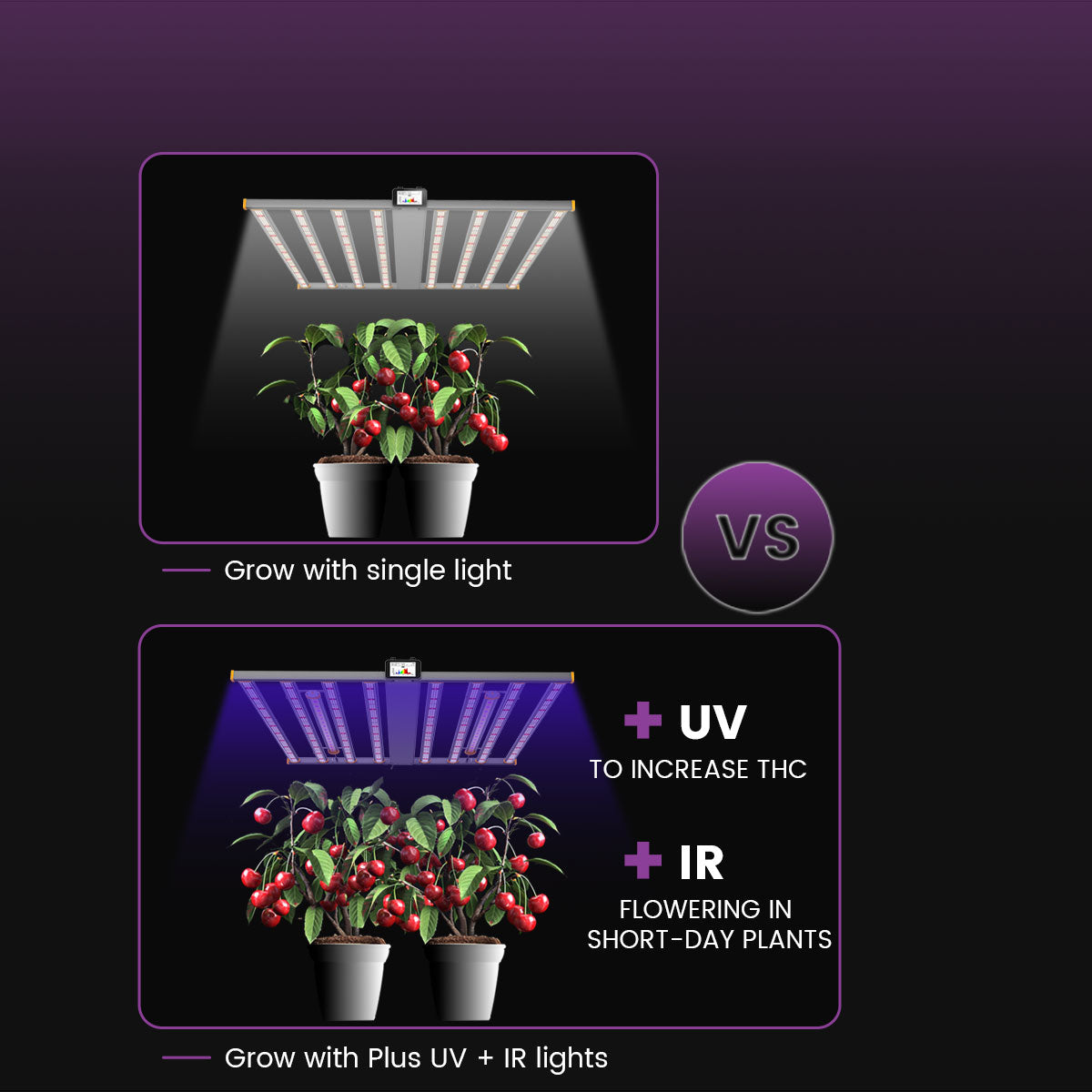 Medic Grow Spectrum X 3 Channel Control LED Grow Light 880 Watts Timer UV+IR