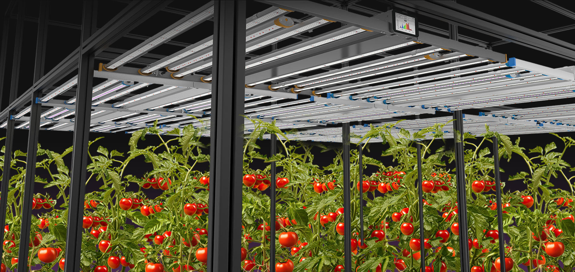 Spectrum X Led Grow Lampe