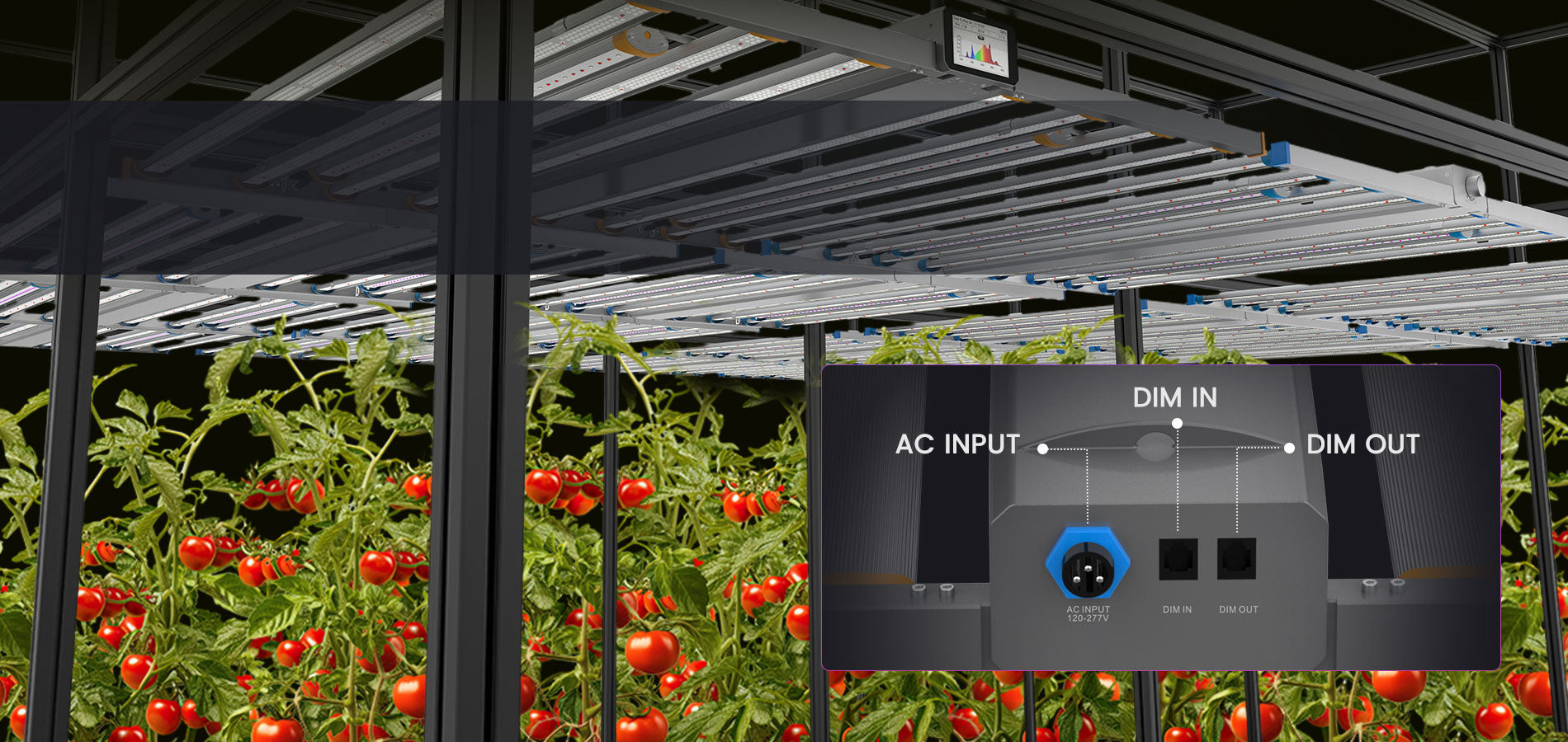 led grow lampe