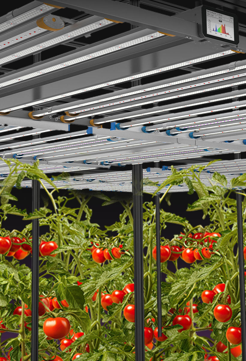 Spectrum X Led Grow Lampe