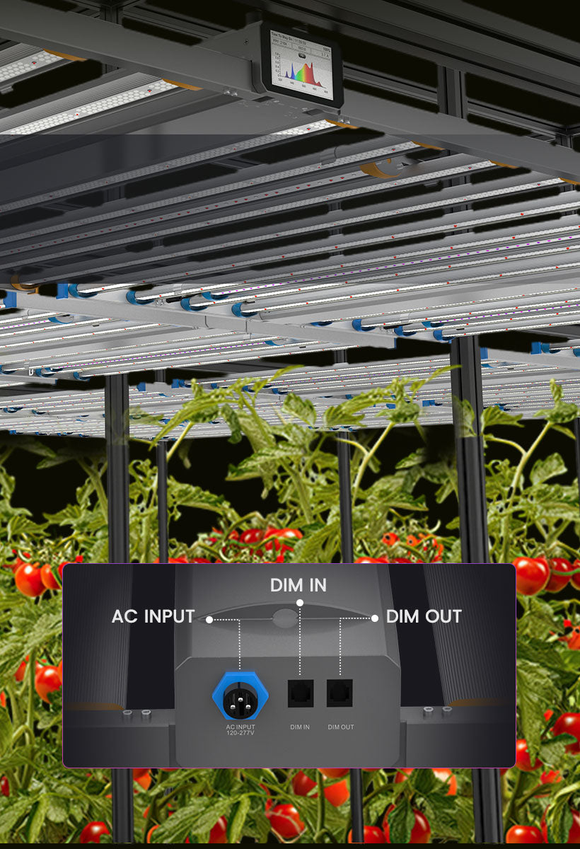 led grow lampe