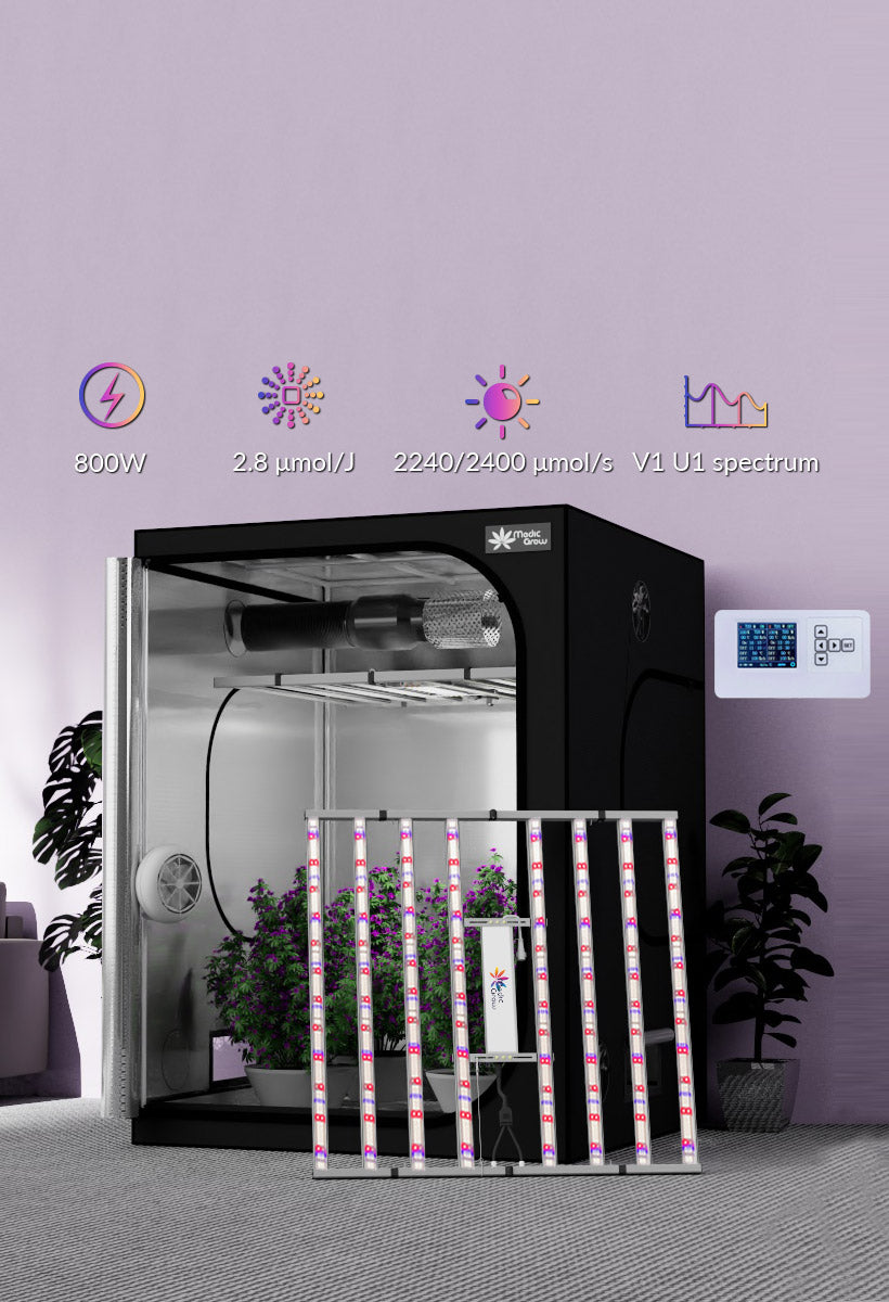 growbox