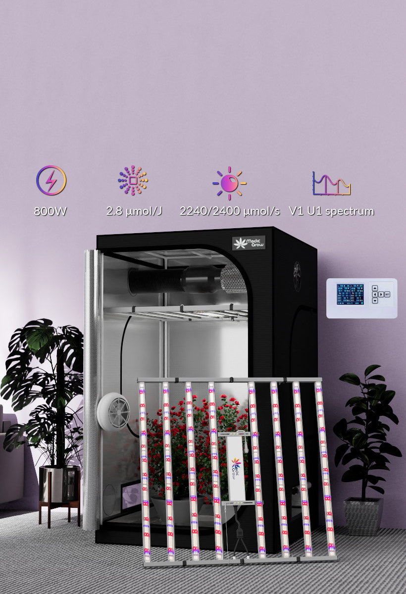growbox