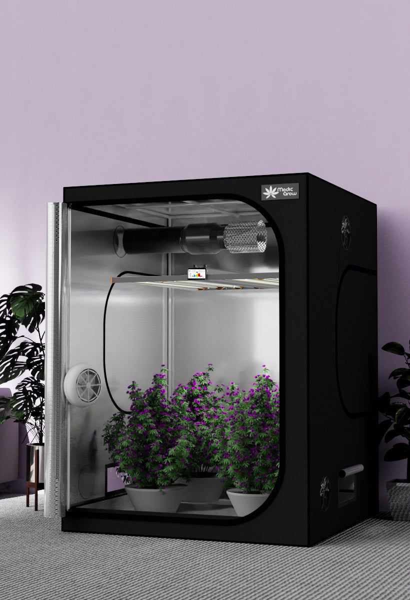 growbox