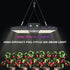 medic grow minisun-2 led grow light 150W/240W/320W/500W
